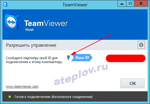 ID для подключения к Teamviewer Host на сервере терминалов