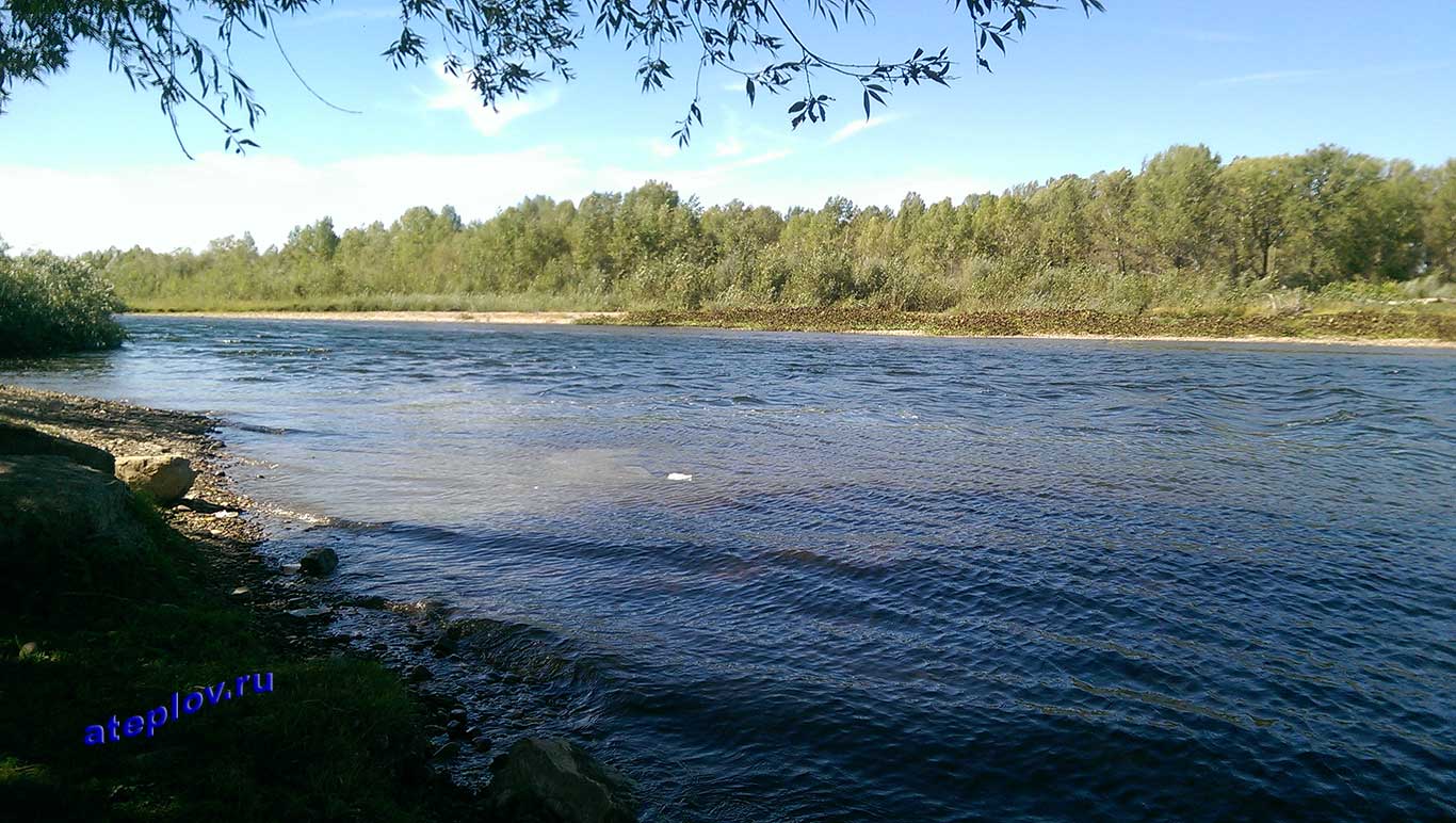 Место река Аскын впадает в Инзер вблизи деревни Абзаново 59